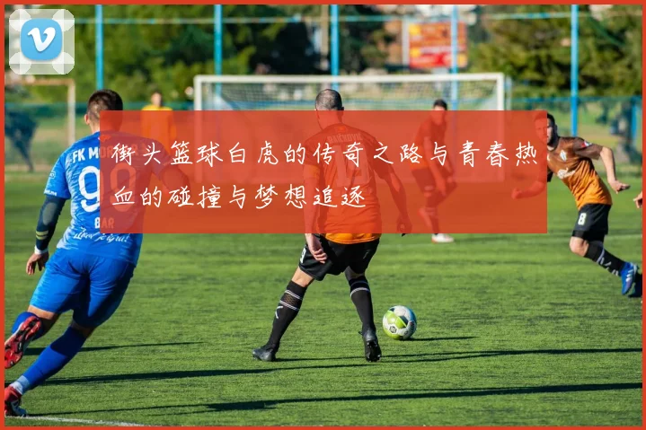 街头篮球白虎的传奇之路与青春热血的碰撞与梦想追逐