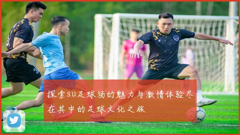 探索su足球场的魅力与激情体验尽在其中的足球文化之旅