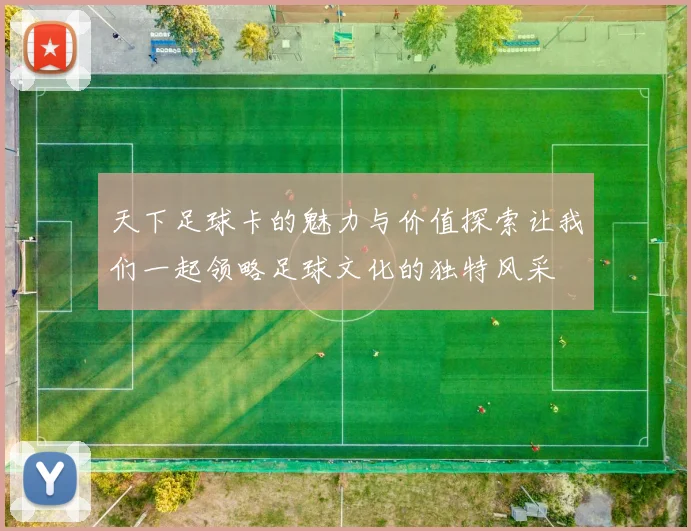 天下足球卡的魅力与价值探索让我们一起领略足球文化的独特风采