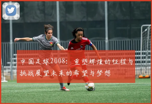 中国足球2008：重塑辉煌的征程与挑战展望未来的希望与梦想